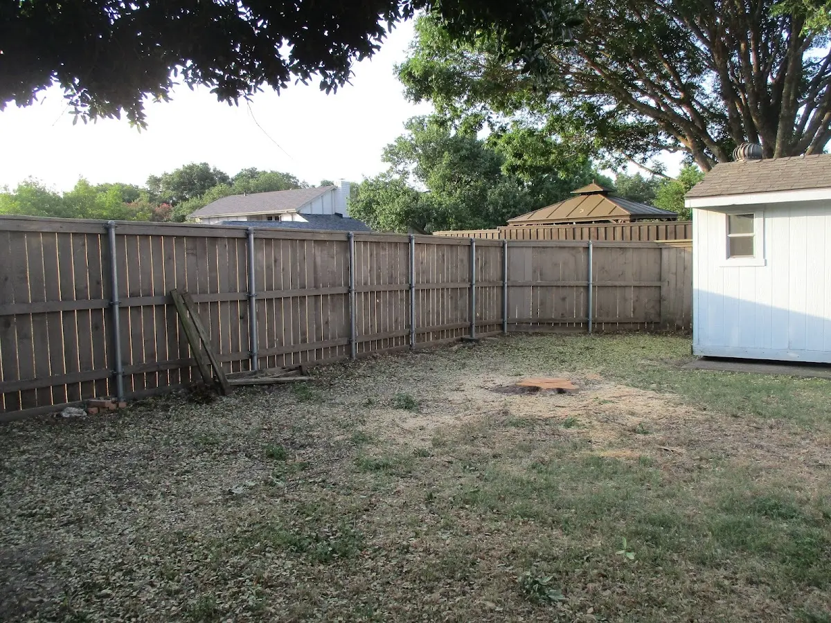 Cleared yard after professional tree removal in Broadford