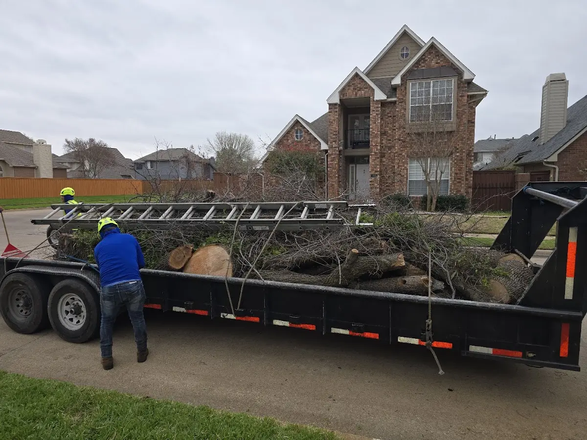Expert Lot Clearing with proper safety equipment in Broadford